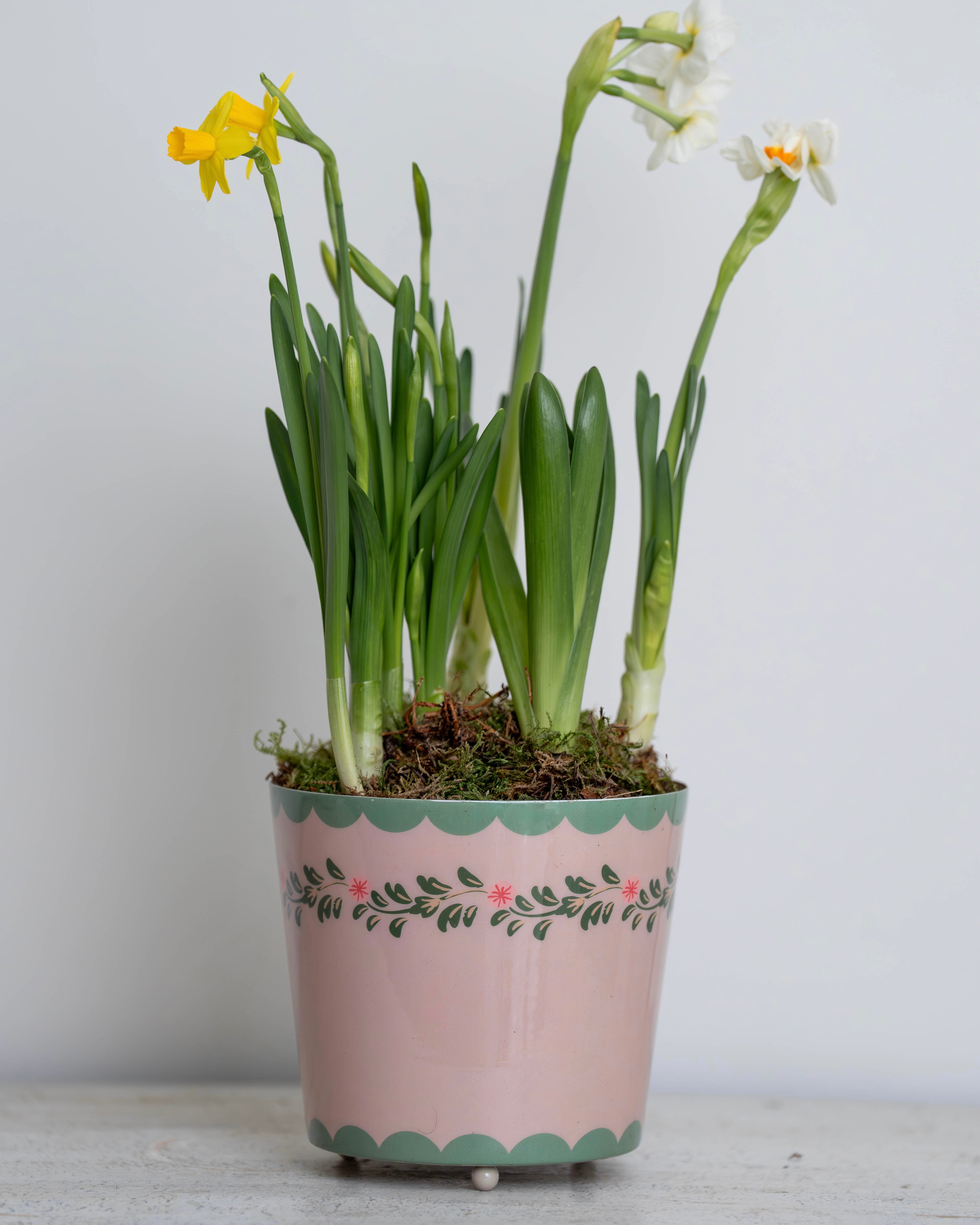 Pink Floral Scalloped Planter