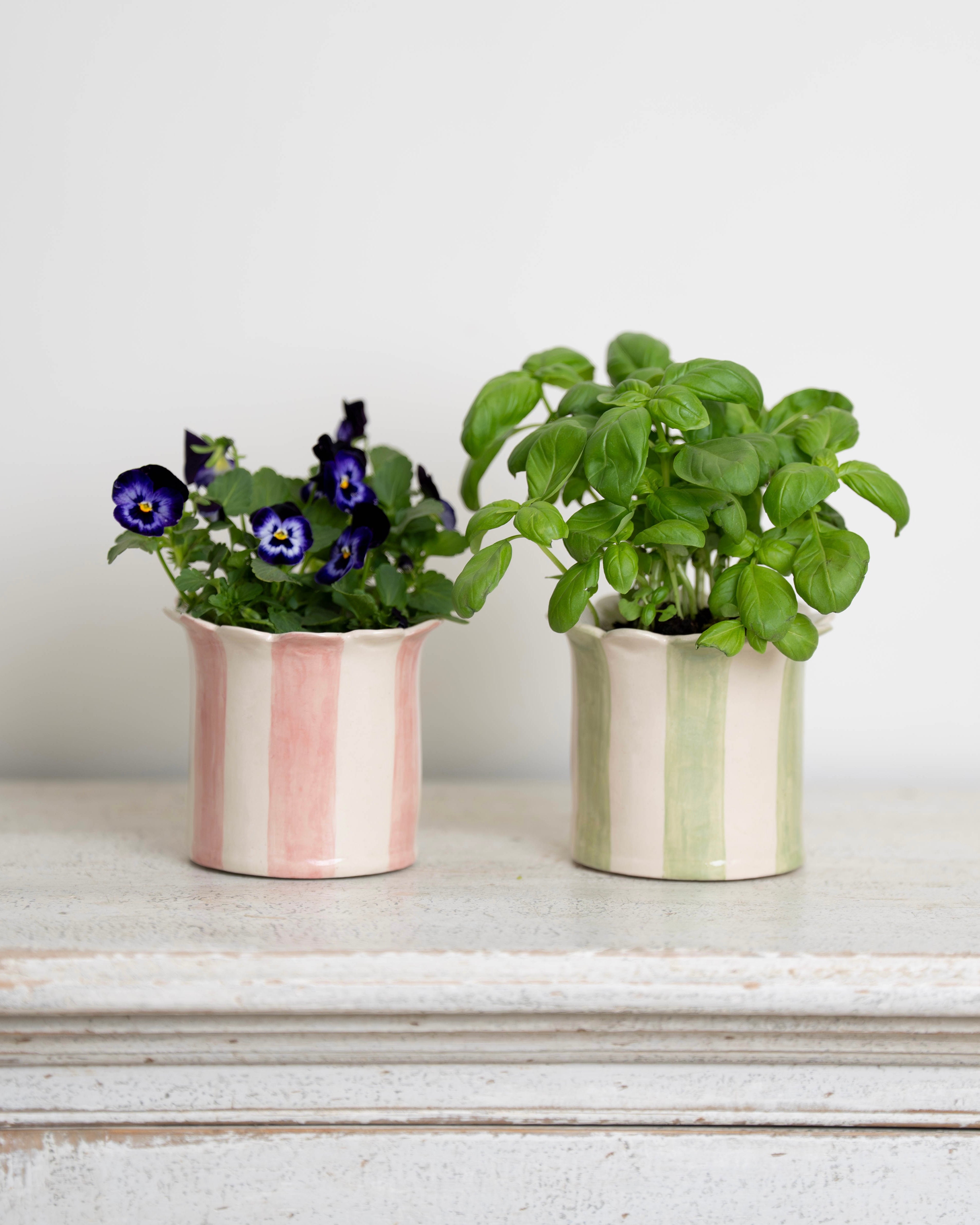 Sage Green Daisy Scalloped Planter