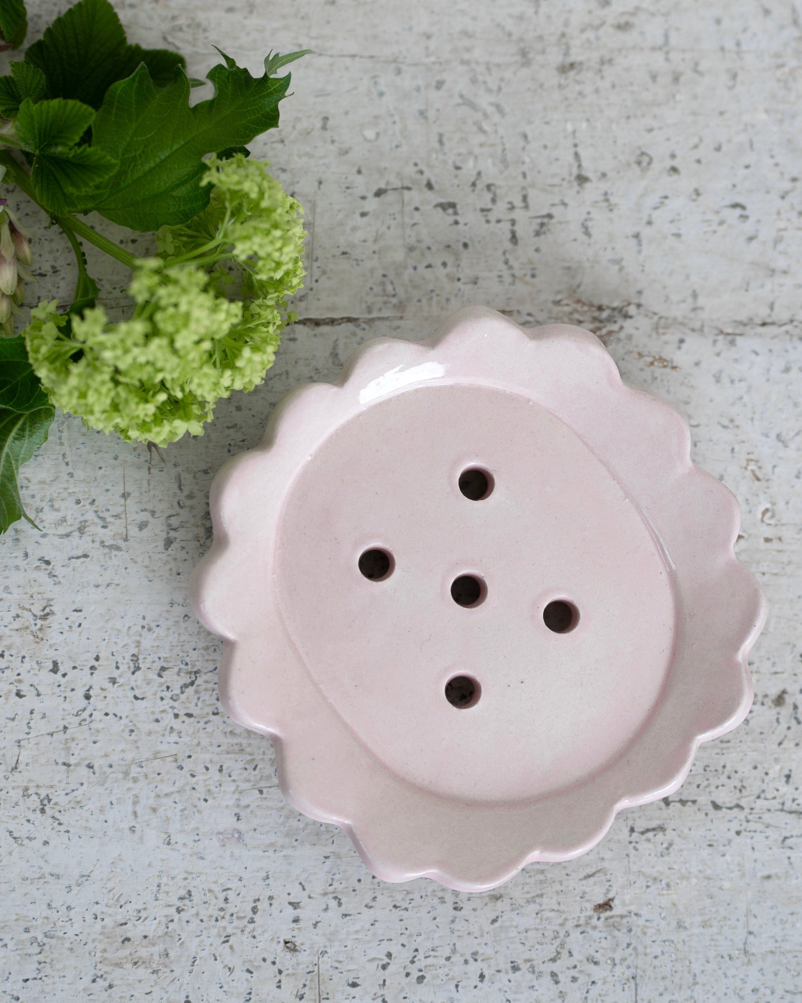 Pink Scalloped Soap Dish