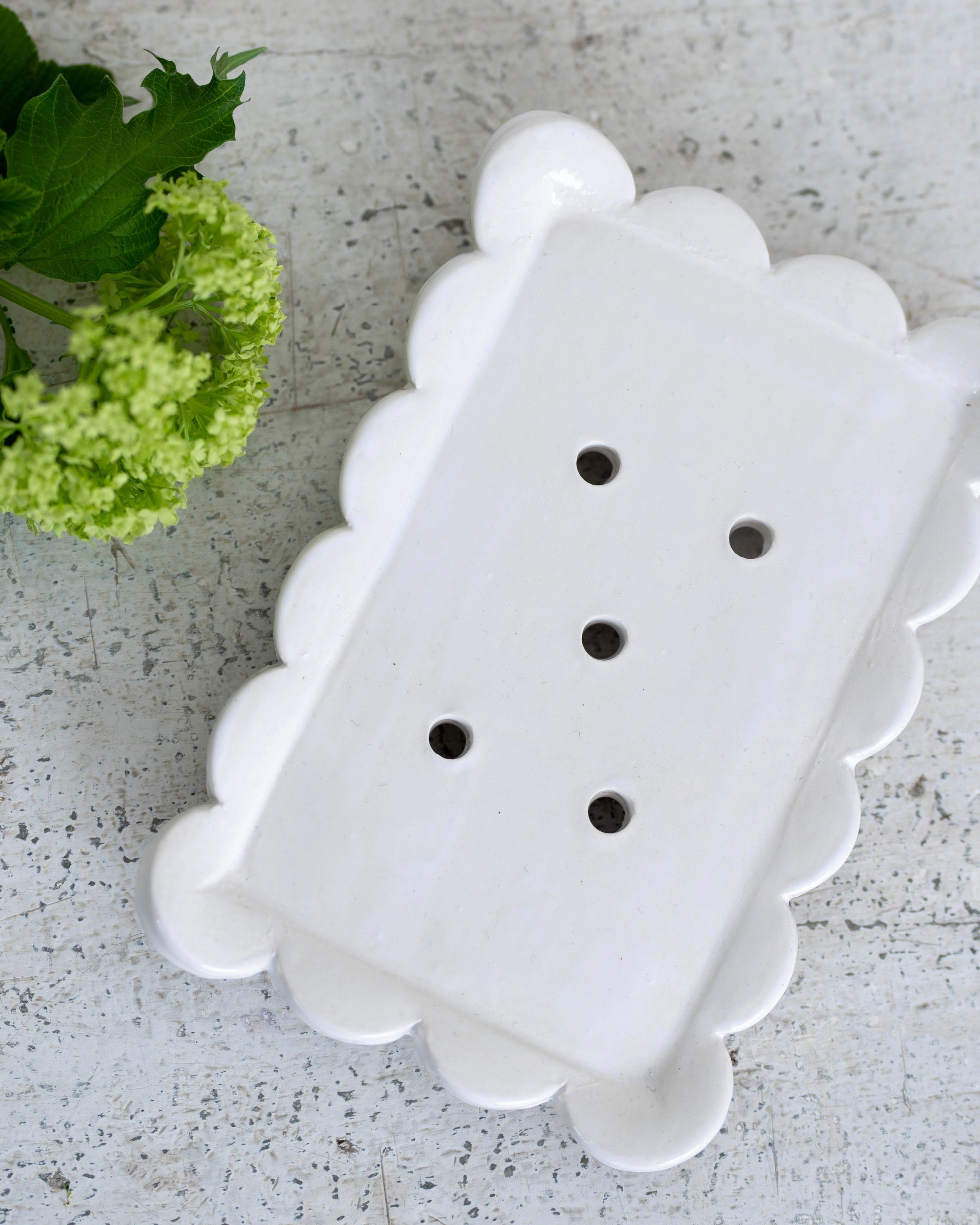 Large White Scalloped Soap Dish