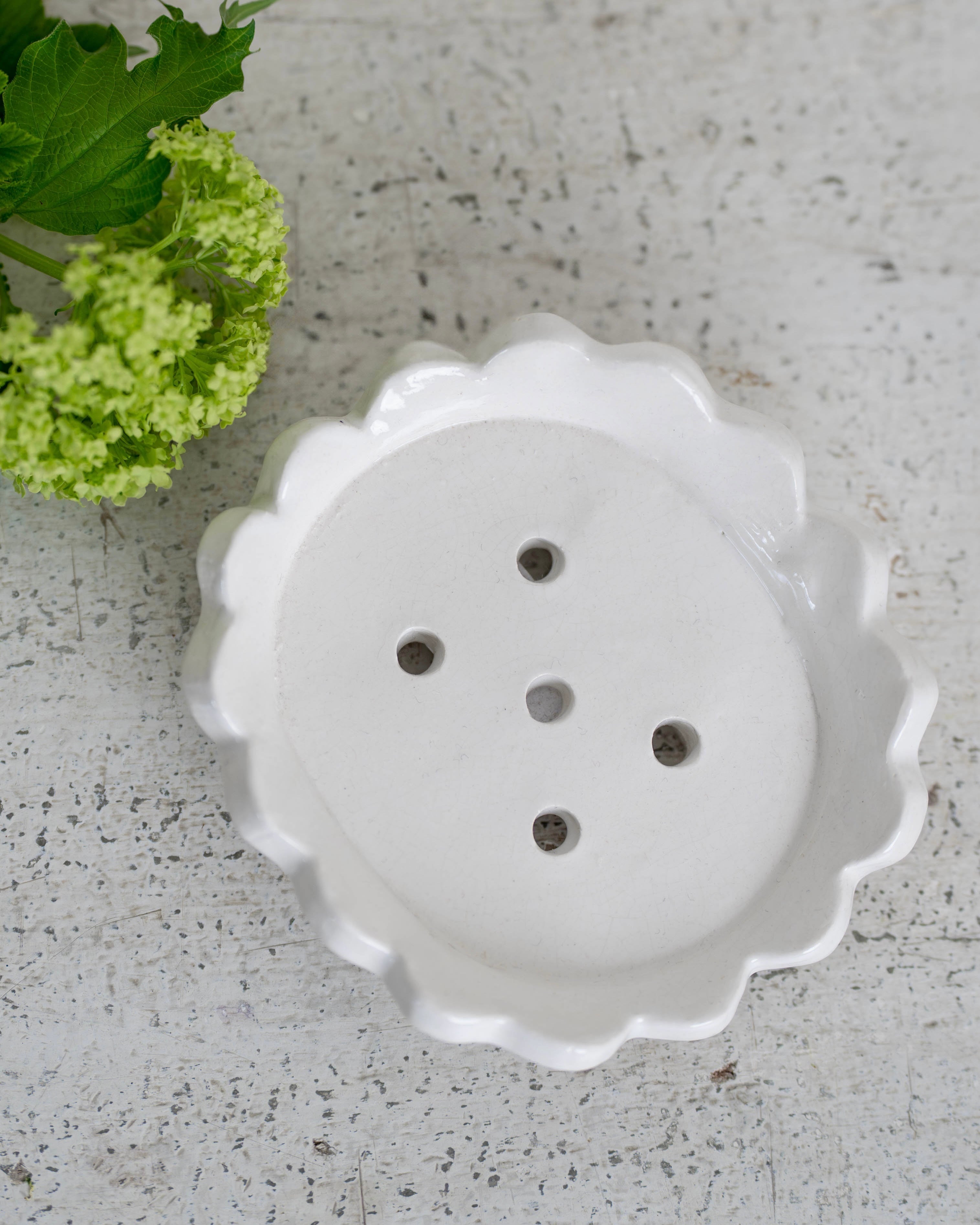 White Scalloped Soap Dish