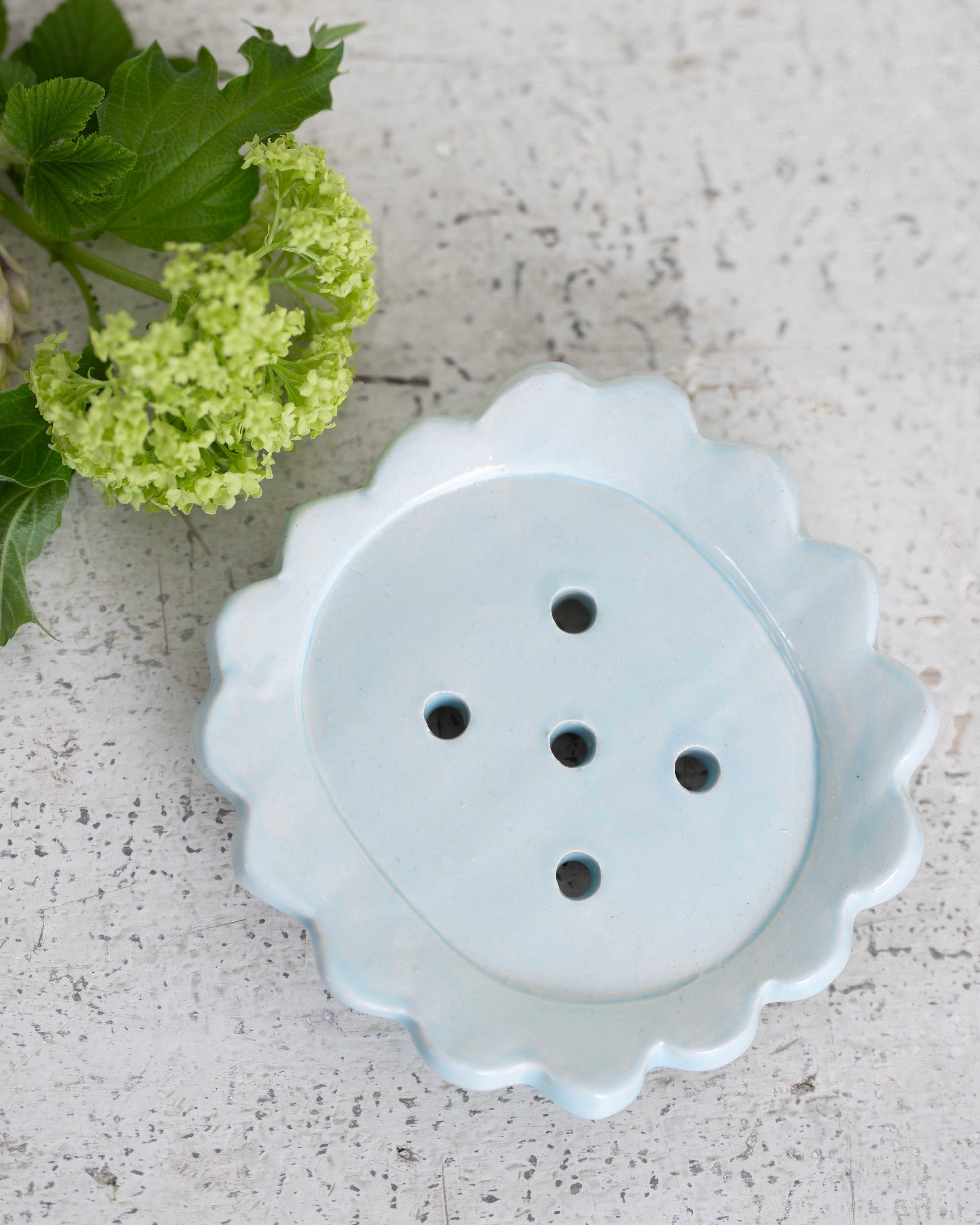 Blue Scalloped Soap Dish