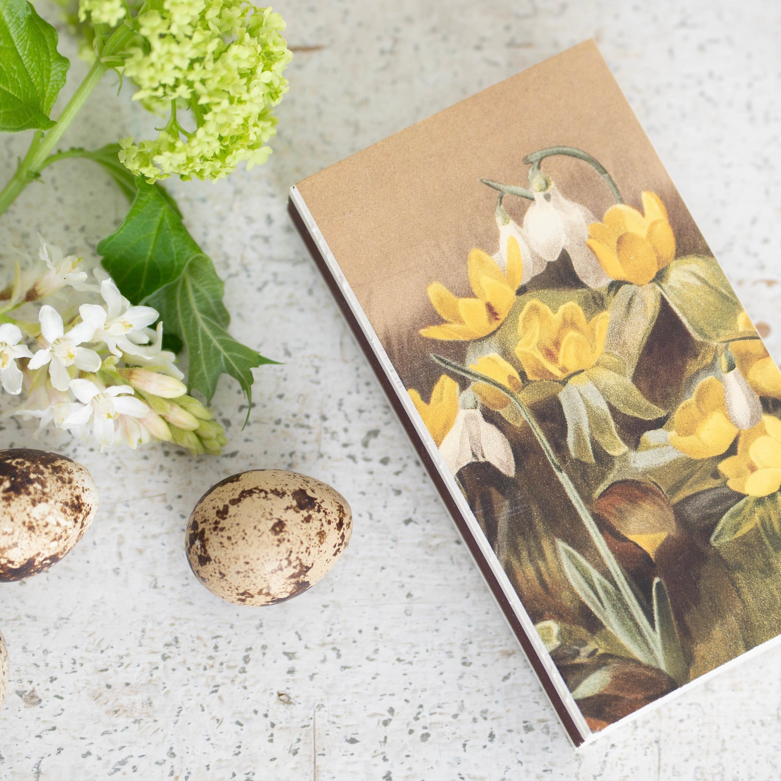 Aconite and Snowdrops Matches