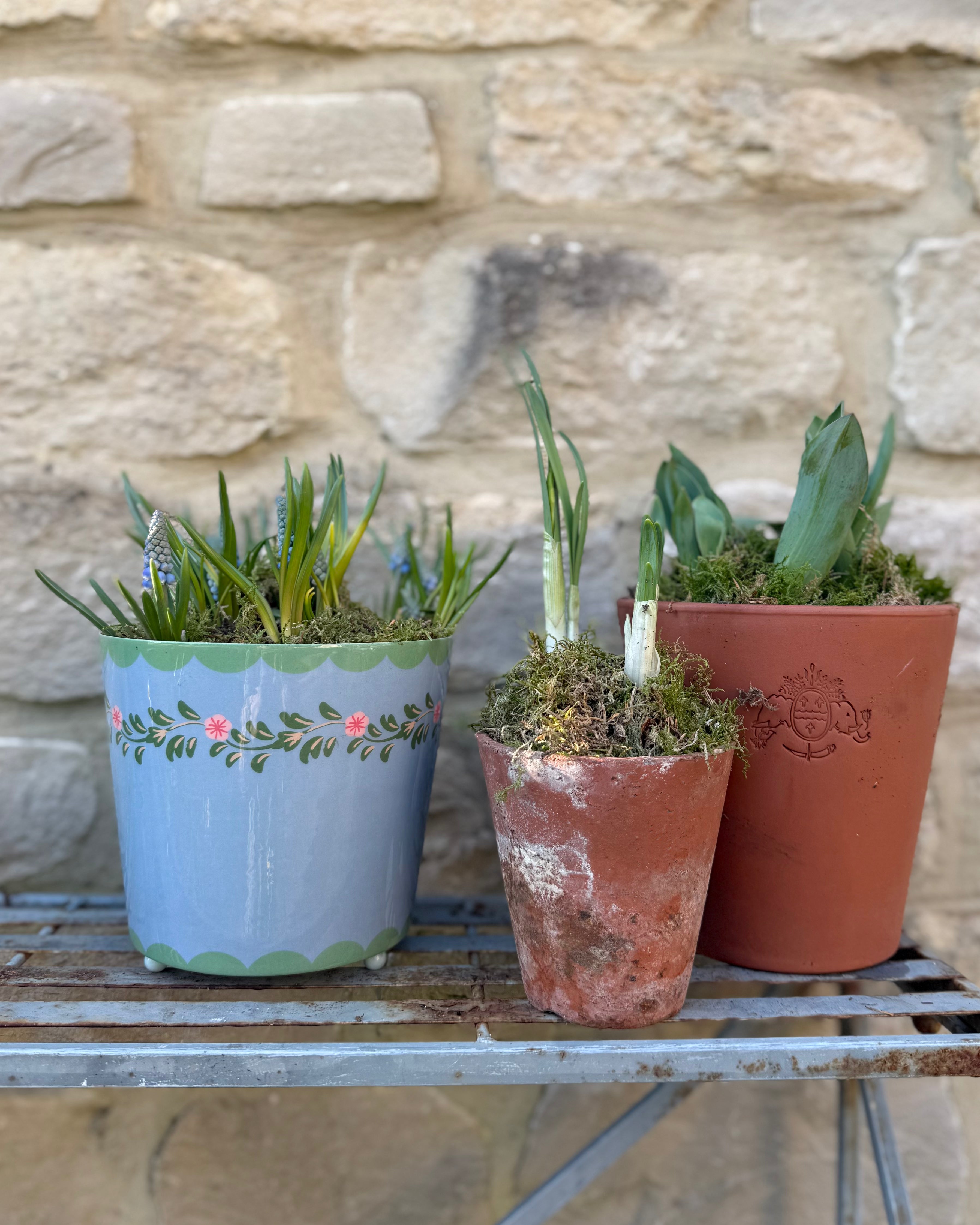 Blue Floral Scalloped Planter