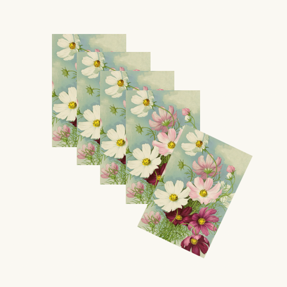 Cosmos Gift Tags