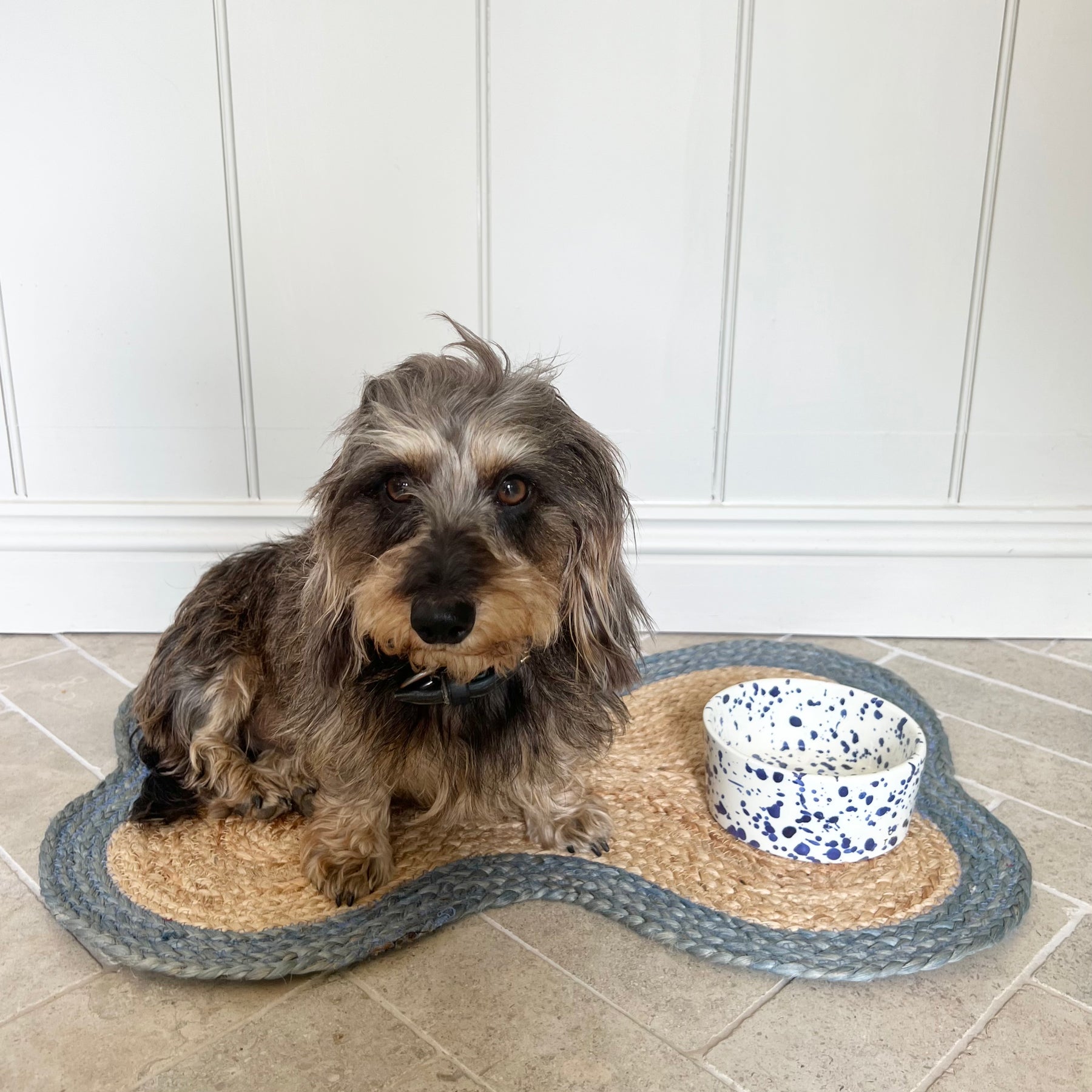 Rug for shop dog bowls